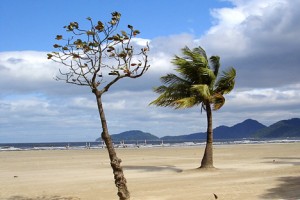 brazil beach wind 300x200 W&W4