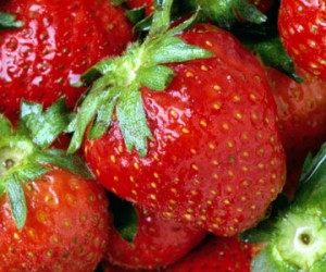 strawberries 4717 300x250 The taste of organic strawberries