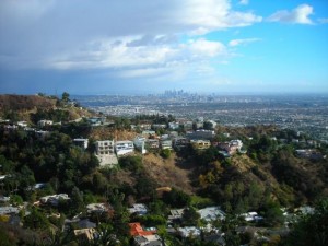 hollywood hills la ca 300x225 Urban Farming in Hungry City LA
