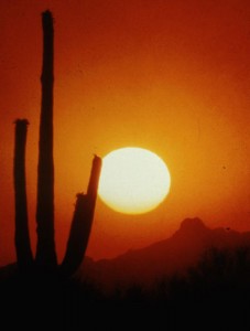 02 227x300 Arizona Deserts Key to Solar Power