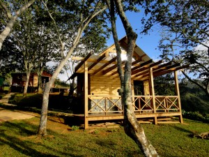 DSC01767 300x225 ParkVida Tree Houses Welcomes Ecotourism Adventurers
