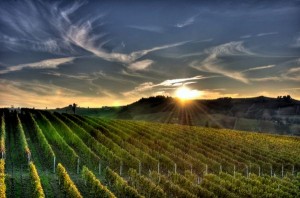 Sunset over Vineyard 300x198 Kendall Jackson Winery Has A Taste For Solar Power 
