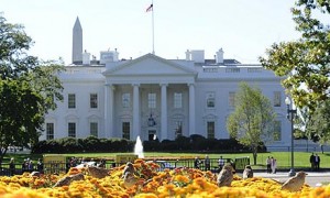 whitehouse460 300x180 CC2