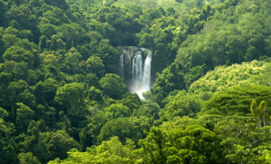 Nauyaca 2 300x182 Costa Rica an environmental bridge to the future