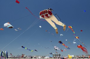 4673597800 e79d85875d 300x199 The Wildwoods Named Jersey’s Best Ecotourism Beach