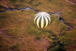 serengeti balloon1 300x200 The Thrill Of Solar Decathlon Victory