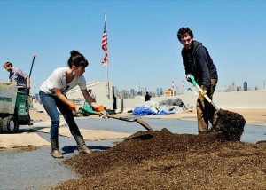 brooklyngrangealg grange farm 300x214 Urban Farmers Grow New Green Acres