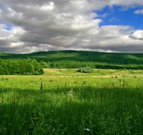 New Jersey Scenic 290x275 Garden State Gets Greener With More Solar Energy